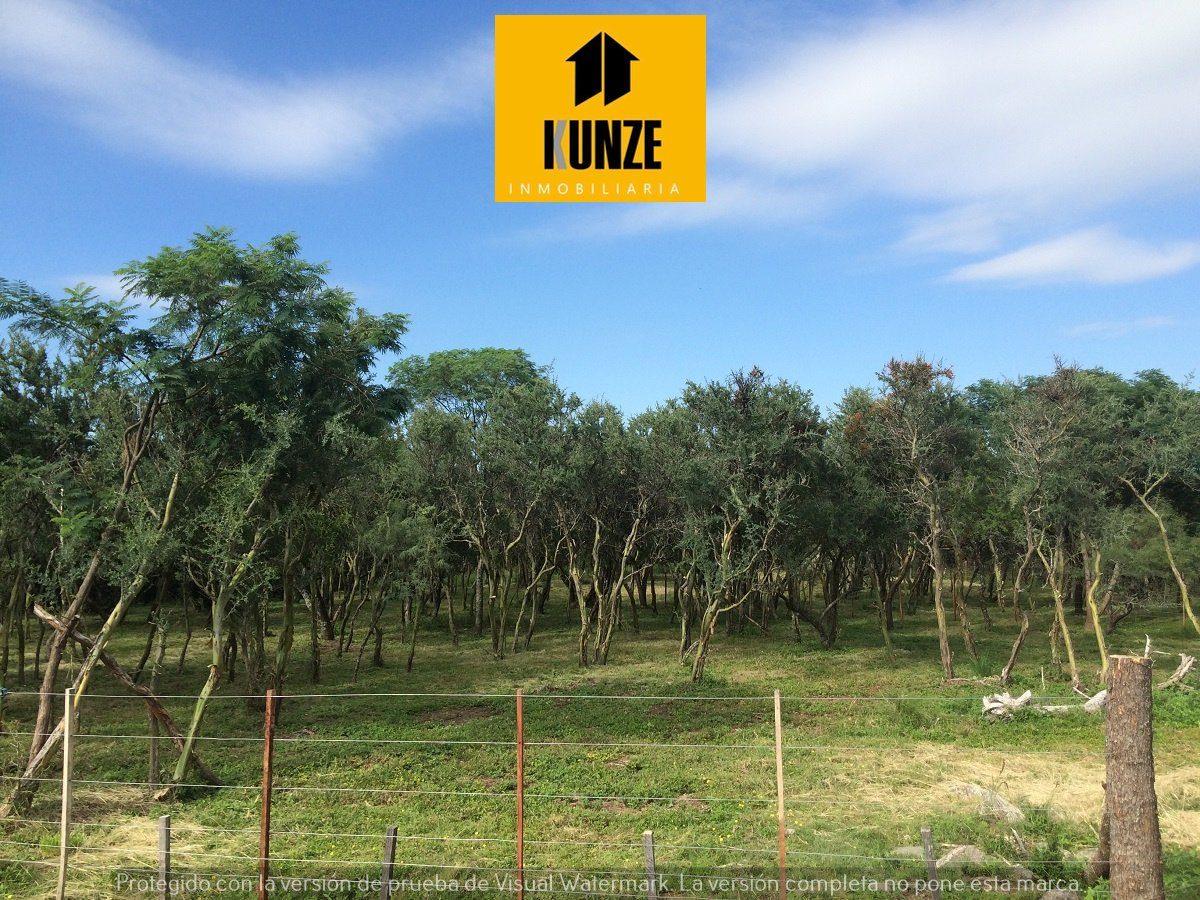 Lote de 1.234 m² con árboles nativos en Cerro de Oro